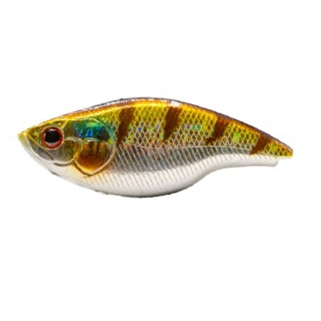 AMOSTRA HERAKLES BLAZE 73 RATTLE 5