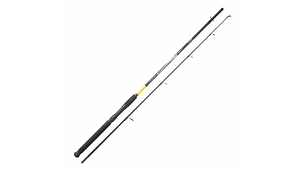 Cana Spinning Srt Fish Instinct Symphony Spincast