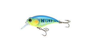 Amostra Sakura Crankit + 1 