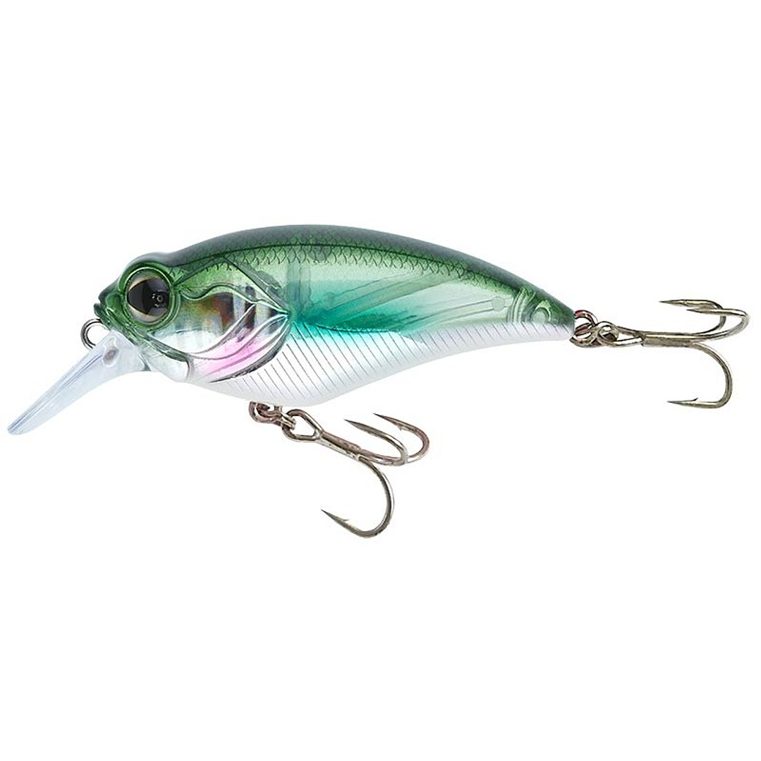 Amostra Sakura Crankit + 1  2