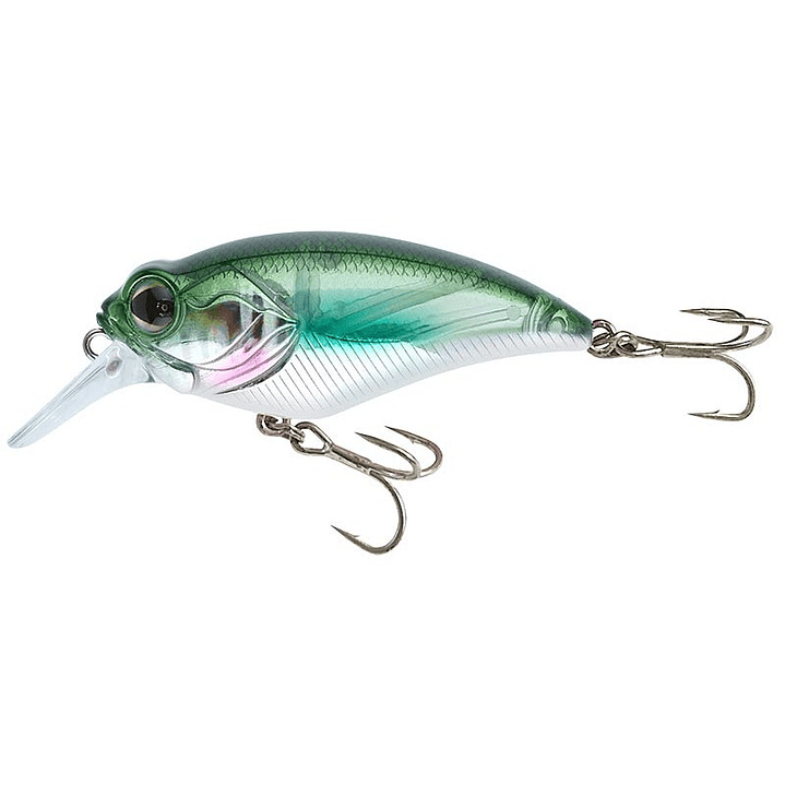 Amostra Sakura Crankit + 1  2