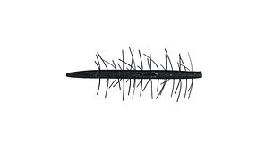 Amostra Yamamoto Fuzzy Senko 4