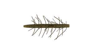 Amostra Yamamoto Fuzzy Senko 5