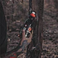 Aditivo/Atrativo Black Fire  - Thumbnail 2