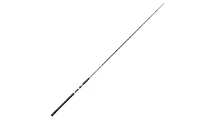 Cana Daiwa Megaforce Big Fish 171H