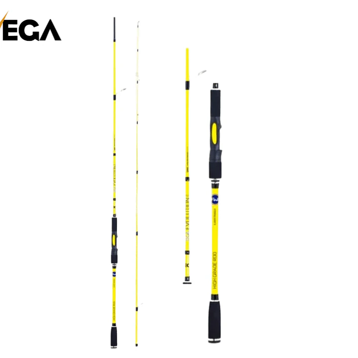 Cana Vega Ika Evolution 2