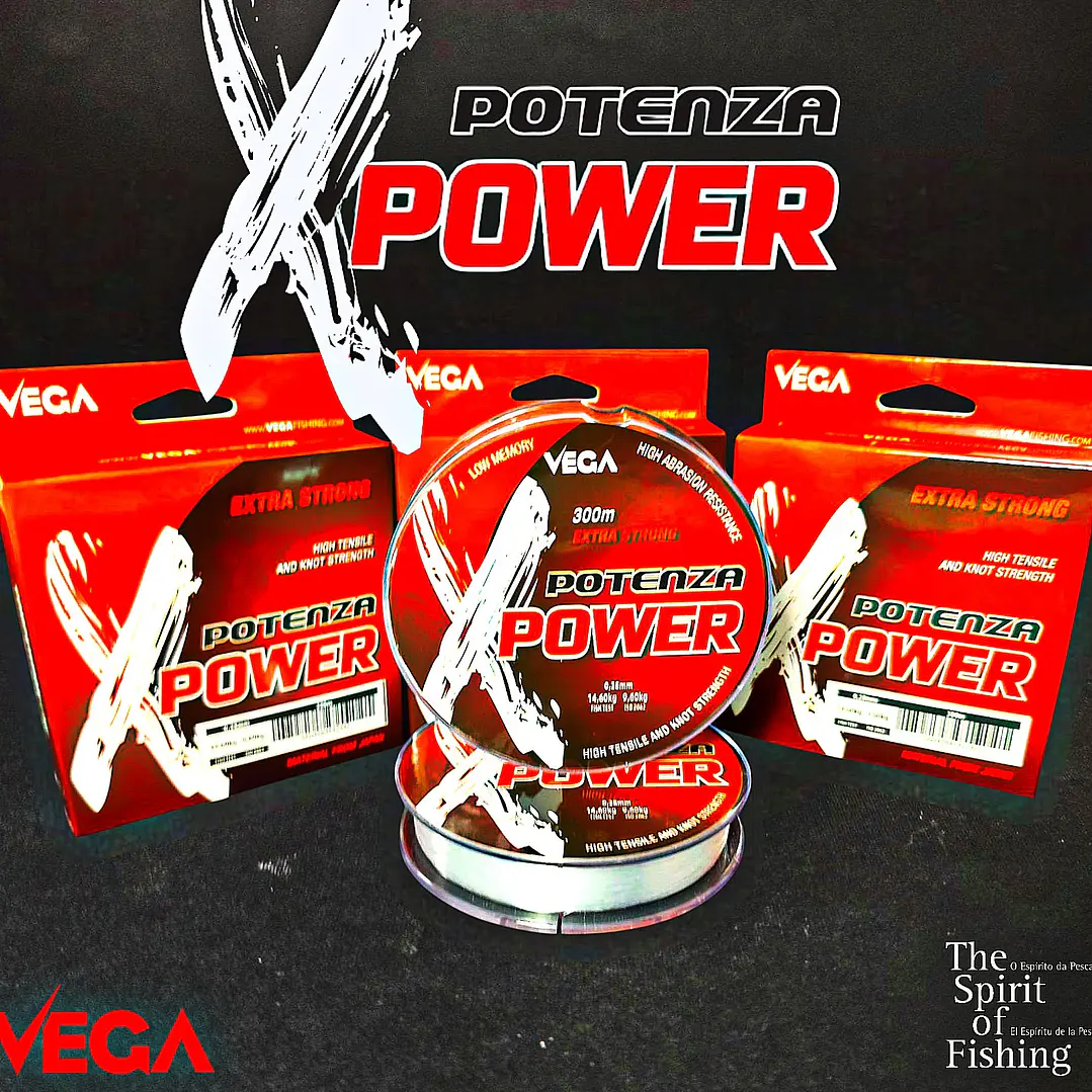 FIo Vega Xpower 300M 1
