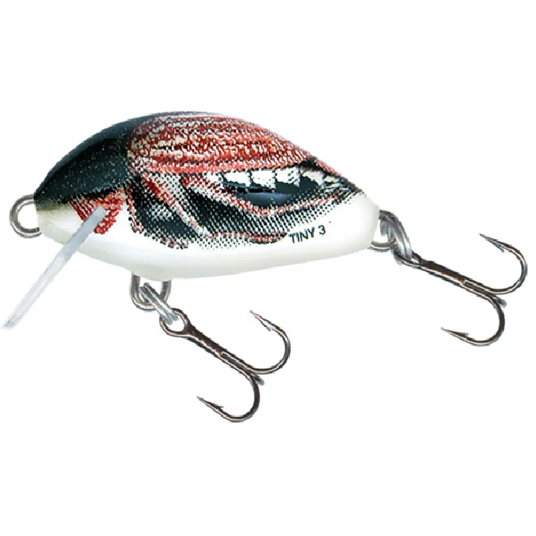 Amostra Salmo Tiny 3 - Cockchafer 1