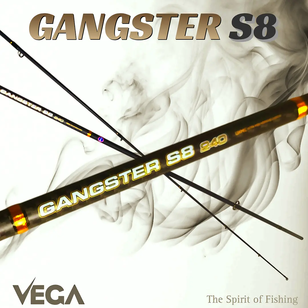 Cana Vega 52-81-240 Gangster s8 2
