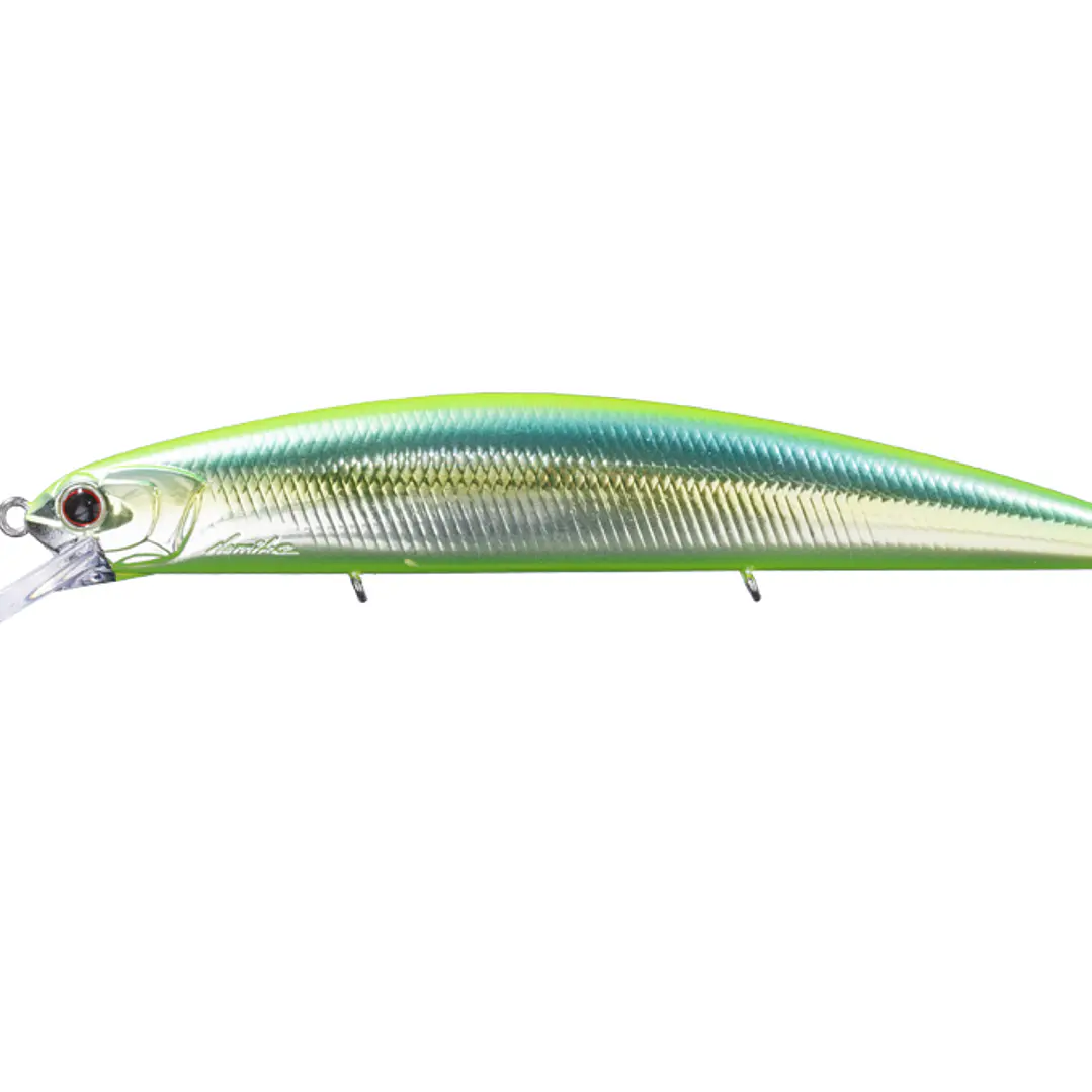 Amostra ASURA O.S.P VARUNA 110-SP 1