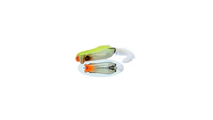 Amostra Evergreen Showerblows Softshell