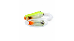 Amostra Evergreen Showerblows Softshell