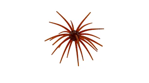 Amostra Morning Star Urchin Bait – 20MM