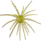 Amostra Hags Baits Prickly Pear 19mm - Thumbnail 1
