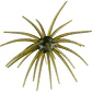 Amostra Hags Baits Prickly Pear 19mm - Thumbnail 2