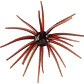 Amostra Hags Baits Prickly Pear 19mm - Thumbnail 3