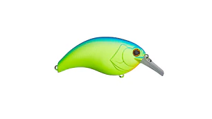 Amostra Deps Evoke 3.0 