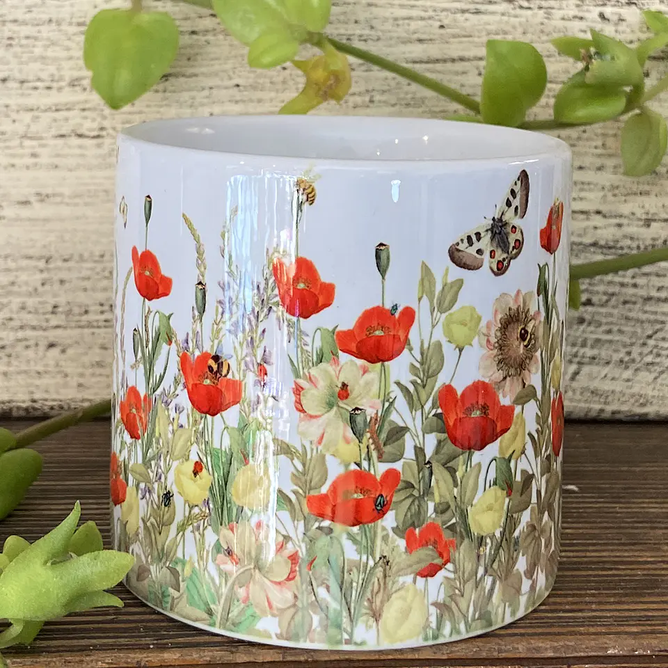 OFERTA! Tacita café Colección Vintage - Amapolas 3