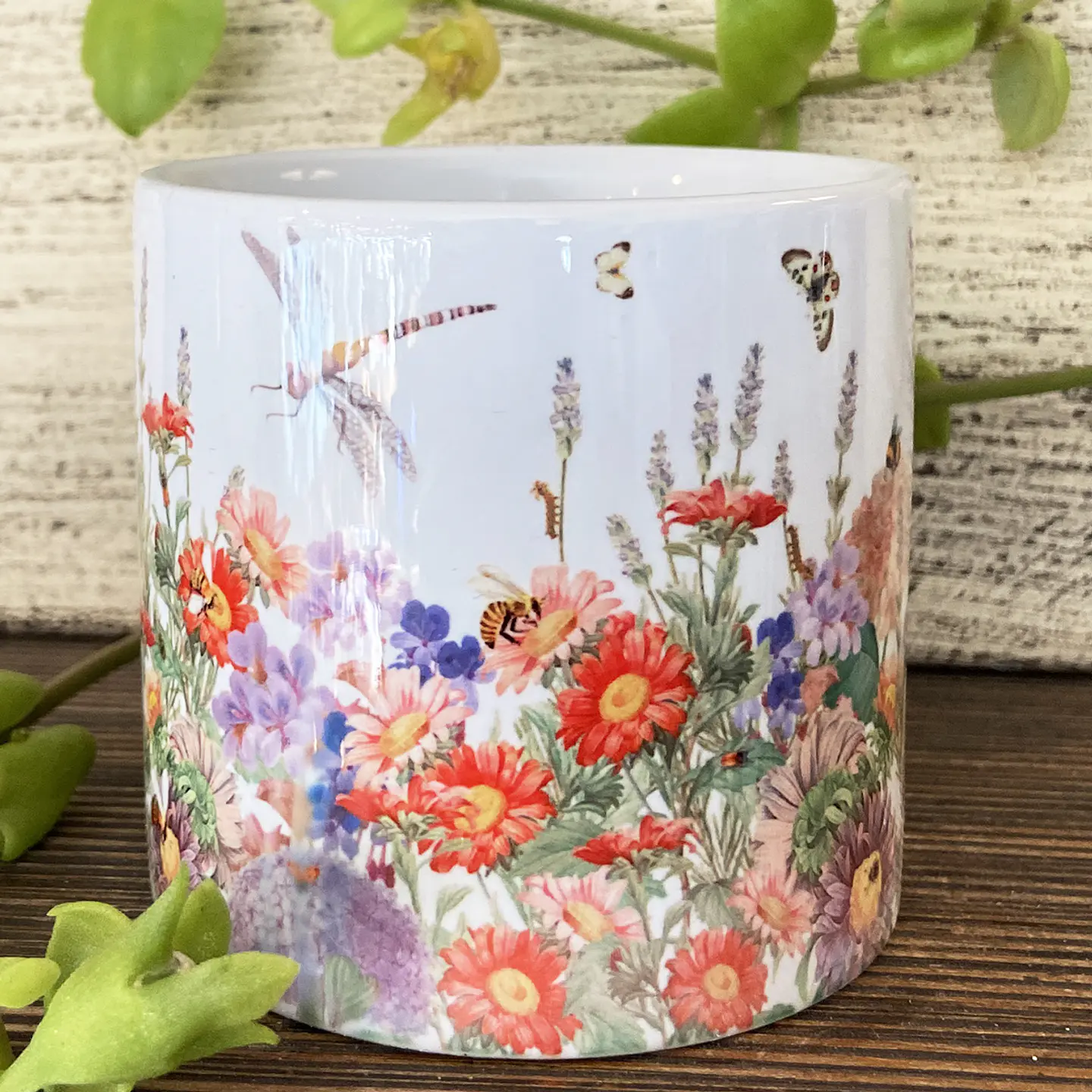 OFERTA! Tacita café Colección Vintage - Primavera 2