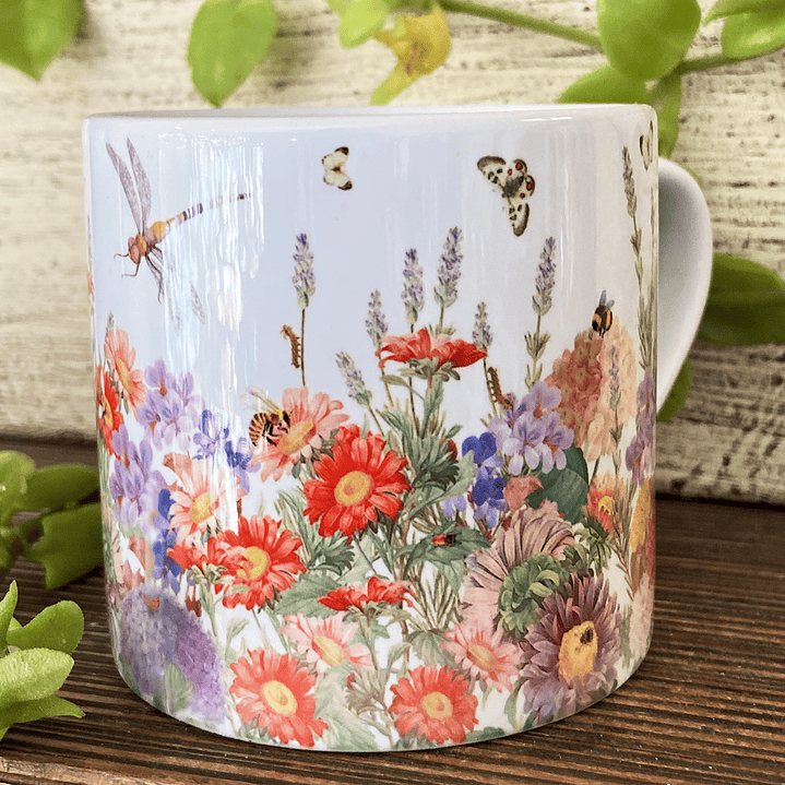 Tacita café Colección Vintage - Primavera 3