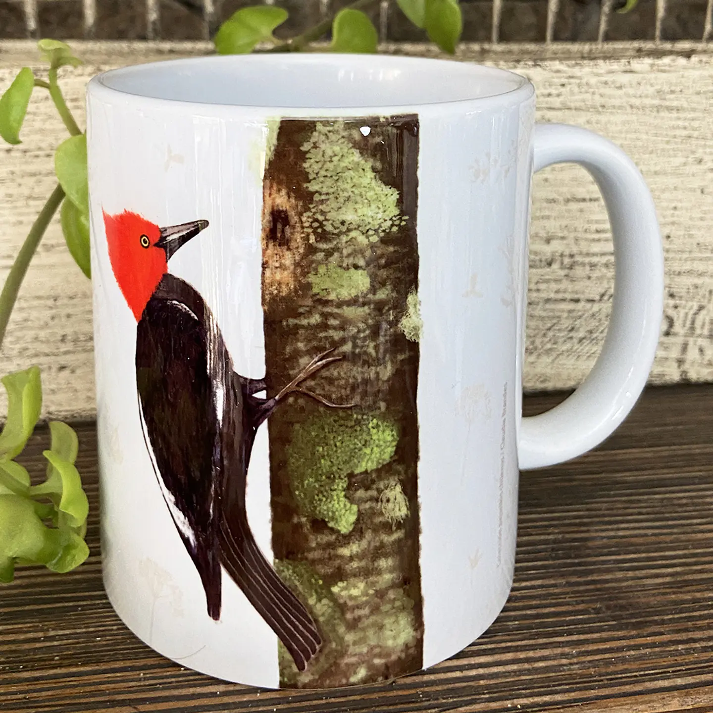 Tazón Colección Pajaritos - Carpintero 4