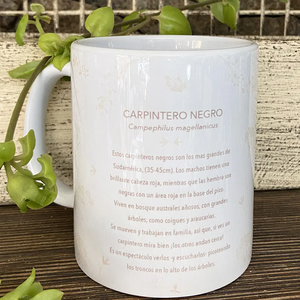 Tazón Colección Pajaritos - Carpintero 5