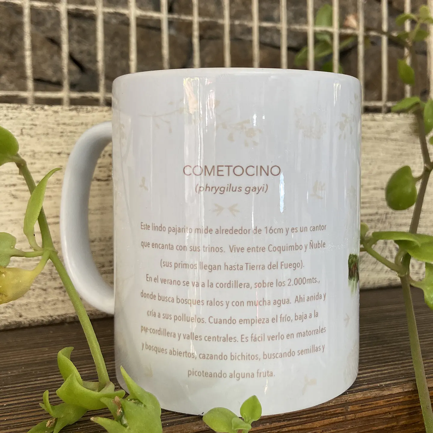 Tazón Colección Pajaritos - Cometocino 5