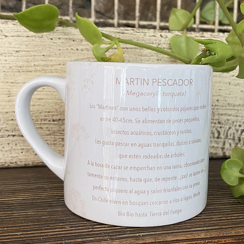 OFERTA!  Tacita café Colección Pajaritos - Martin