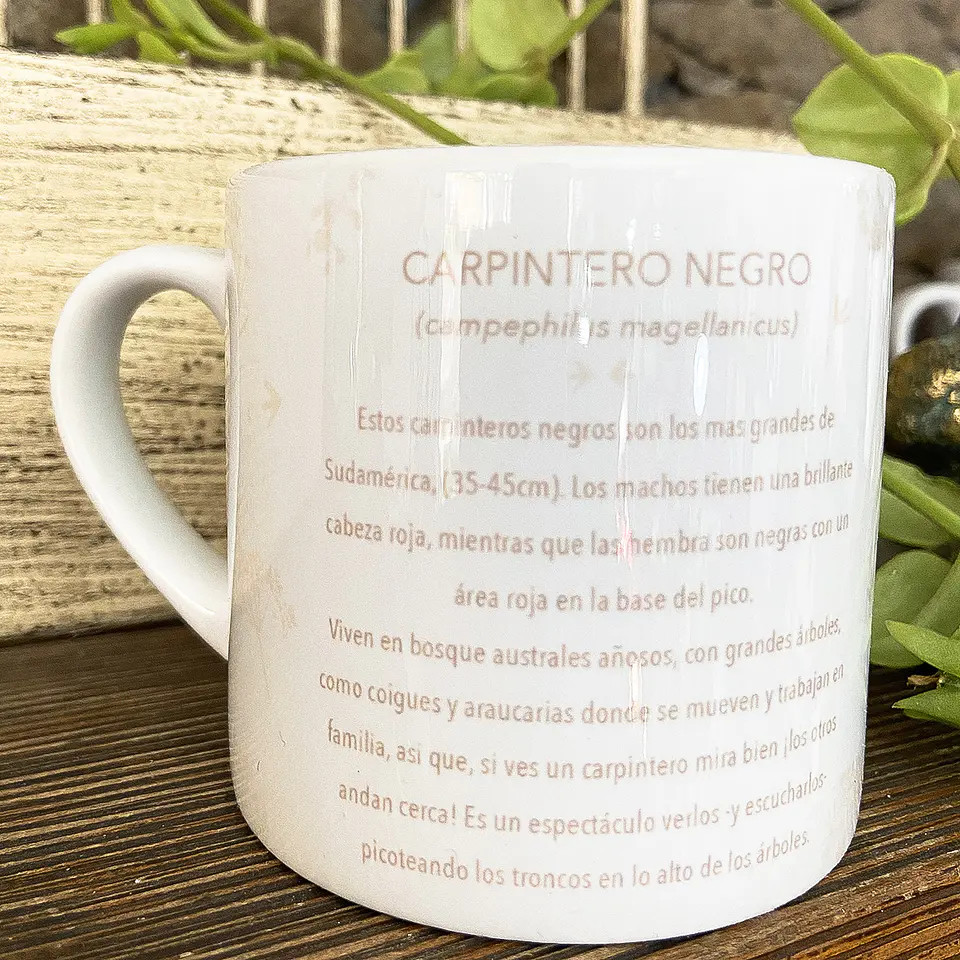 OFERTA! Tacita café Colección Pajaritos - Carpintero 2