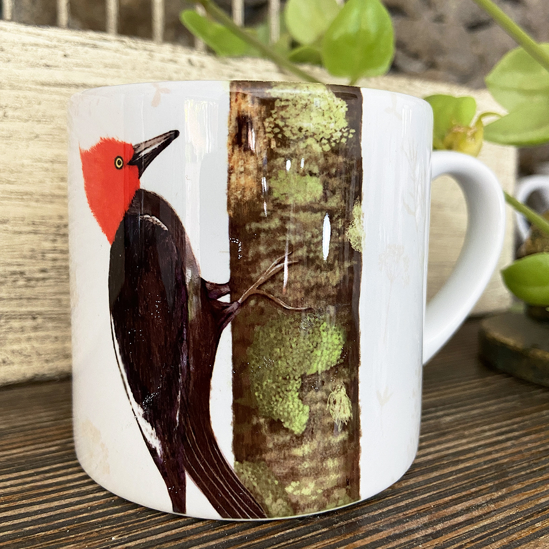 Tacita café Colección Pajaritos - Carpintero 3