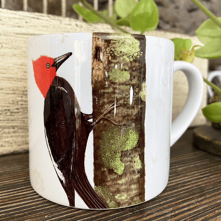 Tacita café Colección Pajaritos - Carpintero 3