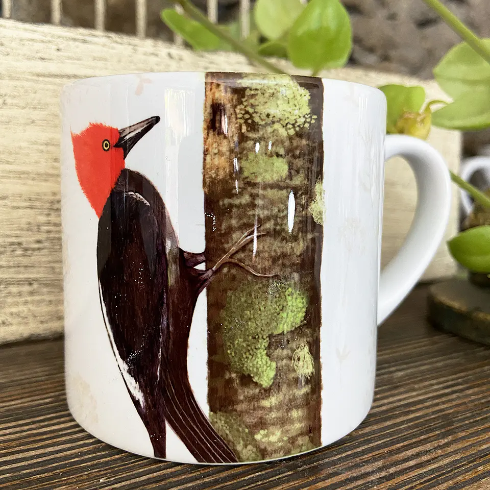 OFERTA! Tacita café Colección Pajaritos - Carpintero 3