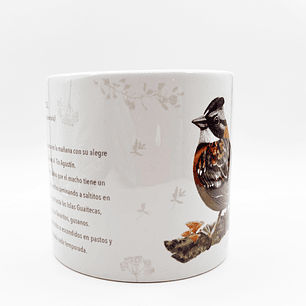 Tacita café Colección Pajaritos - Chincol