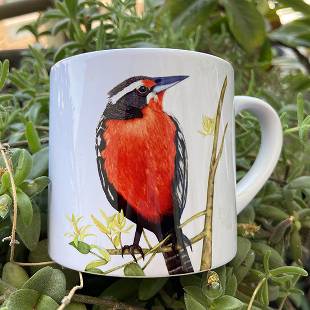 Tacita café Colección Pajaritos - Loica 2