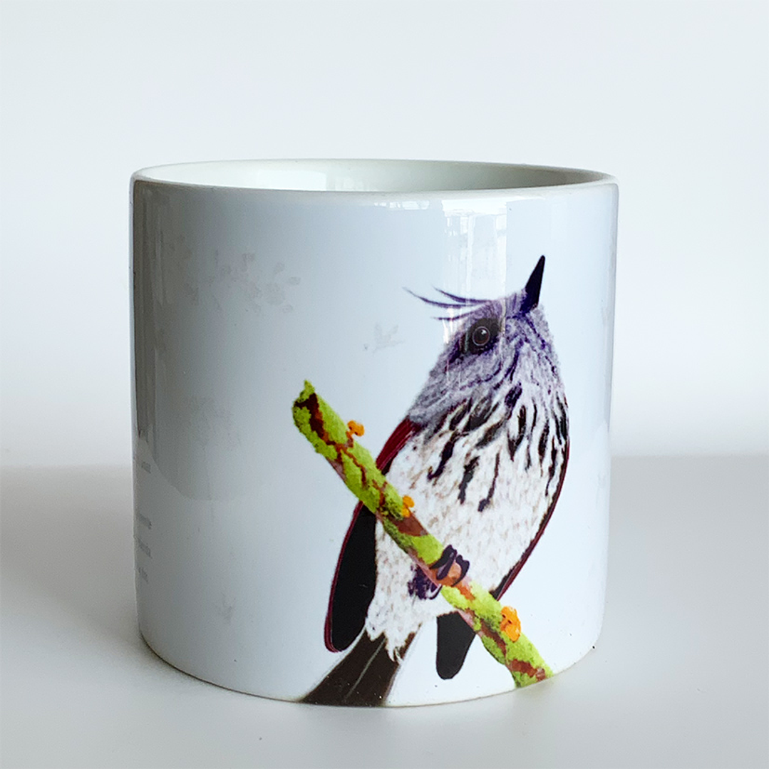 Tacita café Colección Pajaritos - Cachudito 1