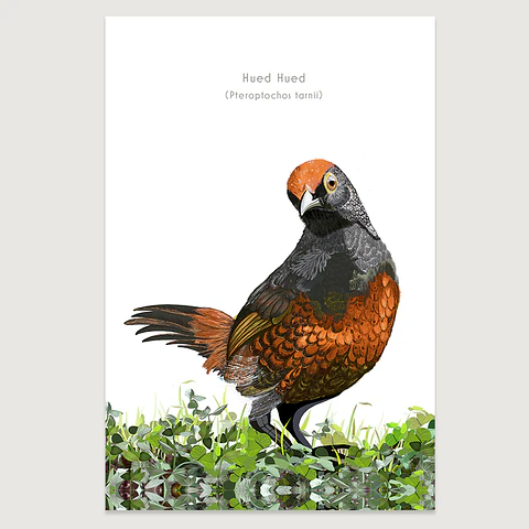DESCUENTO!! Láminas Aves de Chile, Hued Hued, varios tamaños. Desde $