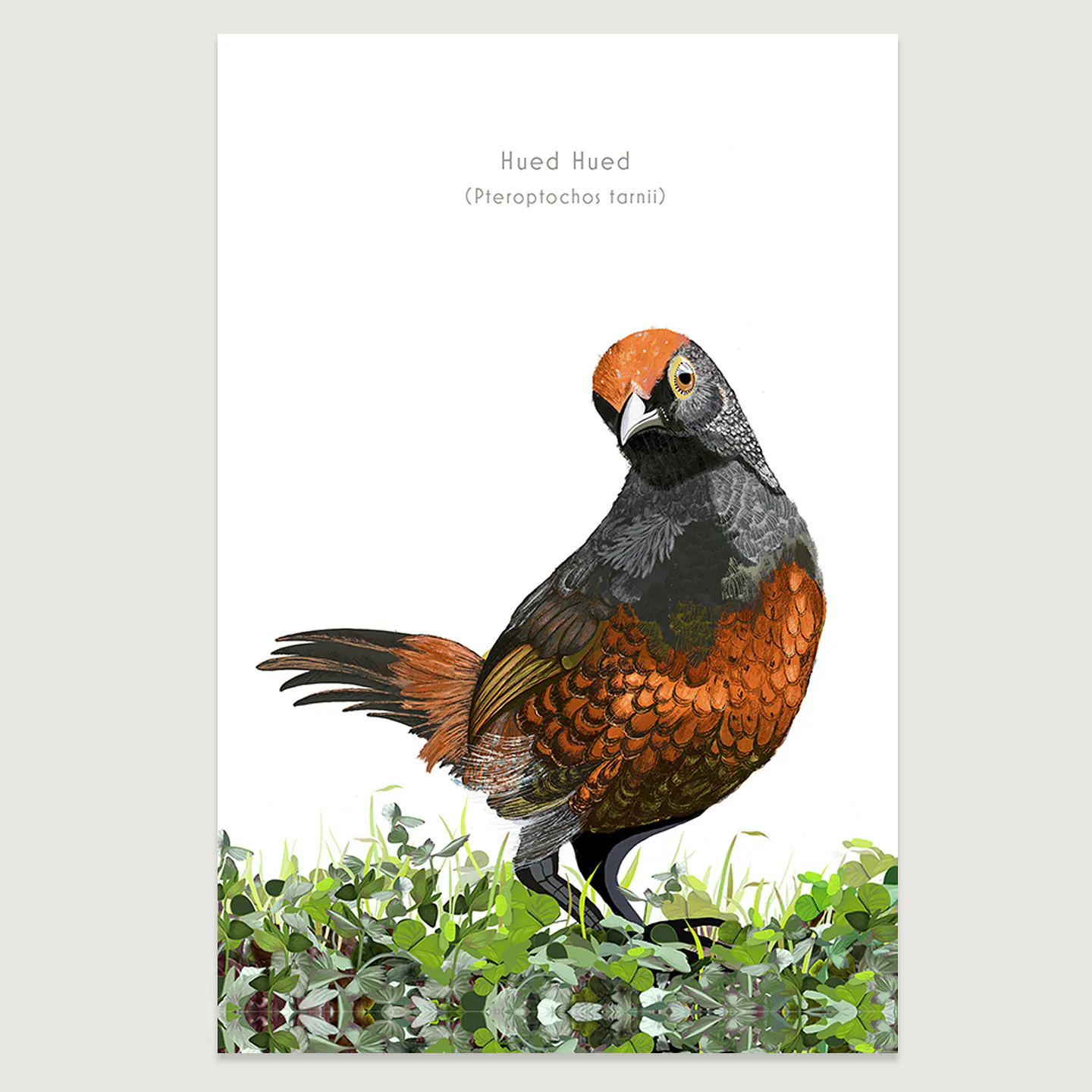 DESCUENTO!! Láminas Aves de Chile, Hued Hued, varios tamaños. Desde $ 2