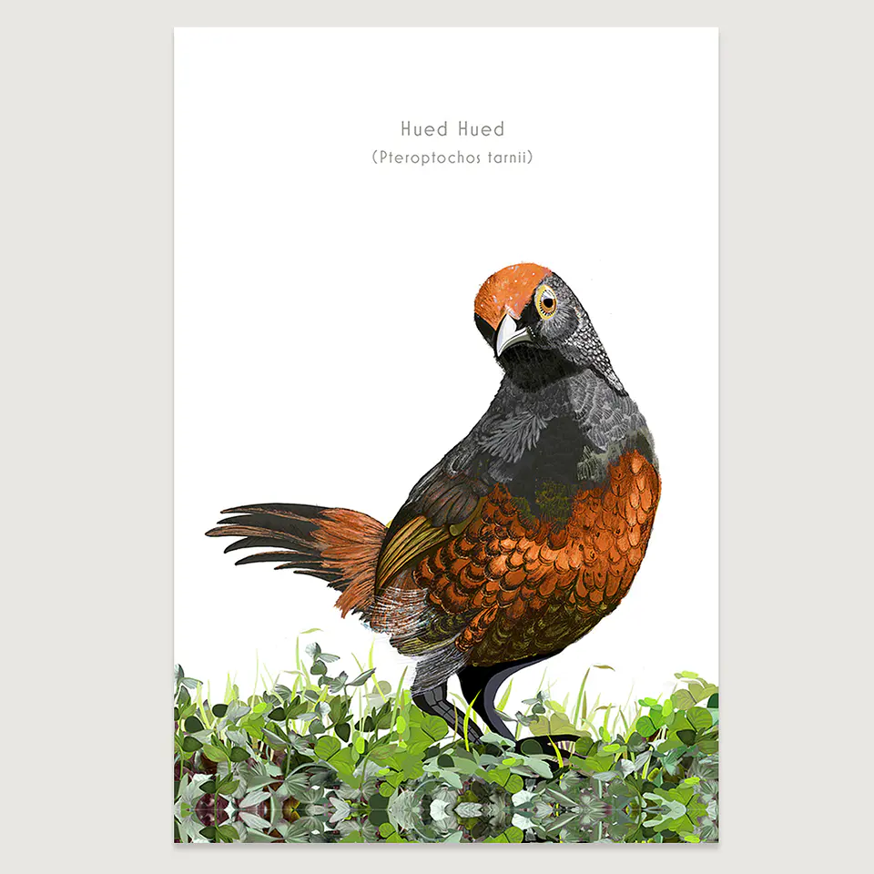 DESCUENTO!! Láminas Aves de Chile, Hued Hued, varios tamaños. Desde $ 2