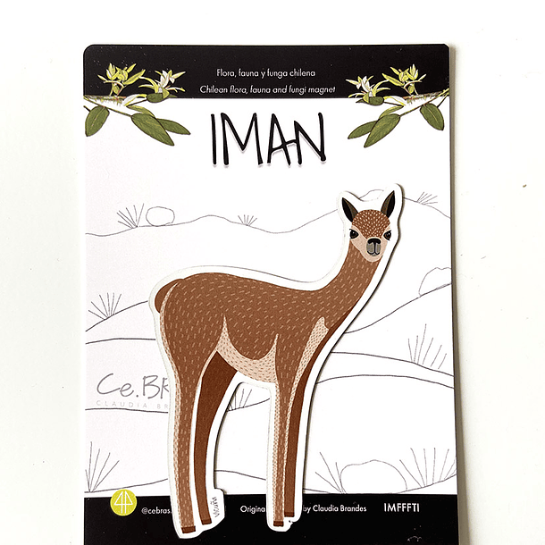 Iman Vicuña 1