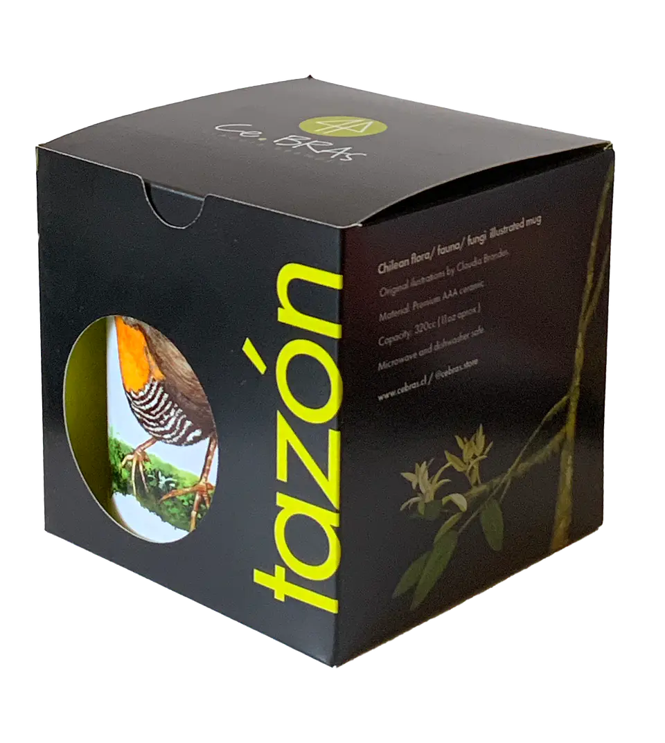 OFERTA! Tazón Colección Pajaritos - Picaflora 3