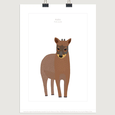 DESCUENTO!! Lámina Pudú, 2 tamaños