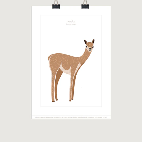 DESCUENTO!! Lámina Vicuña, dos tamaños