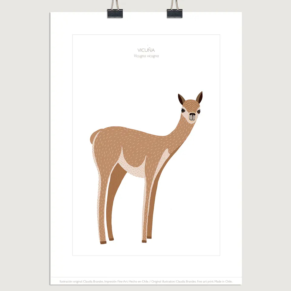 DESCUENTO!! Lámina Vicuña, varios tamaños 1