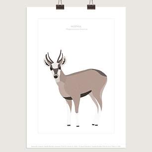 Lámina Huemul, varios tamaños- COPIAR