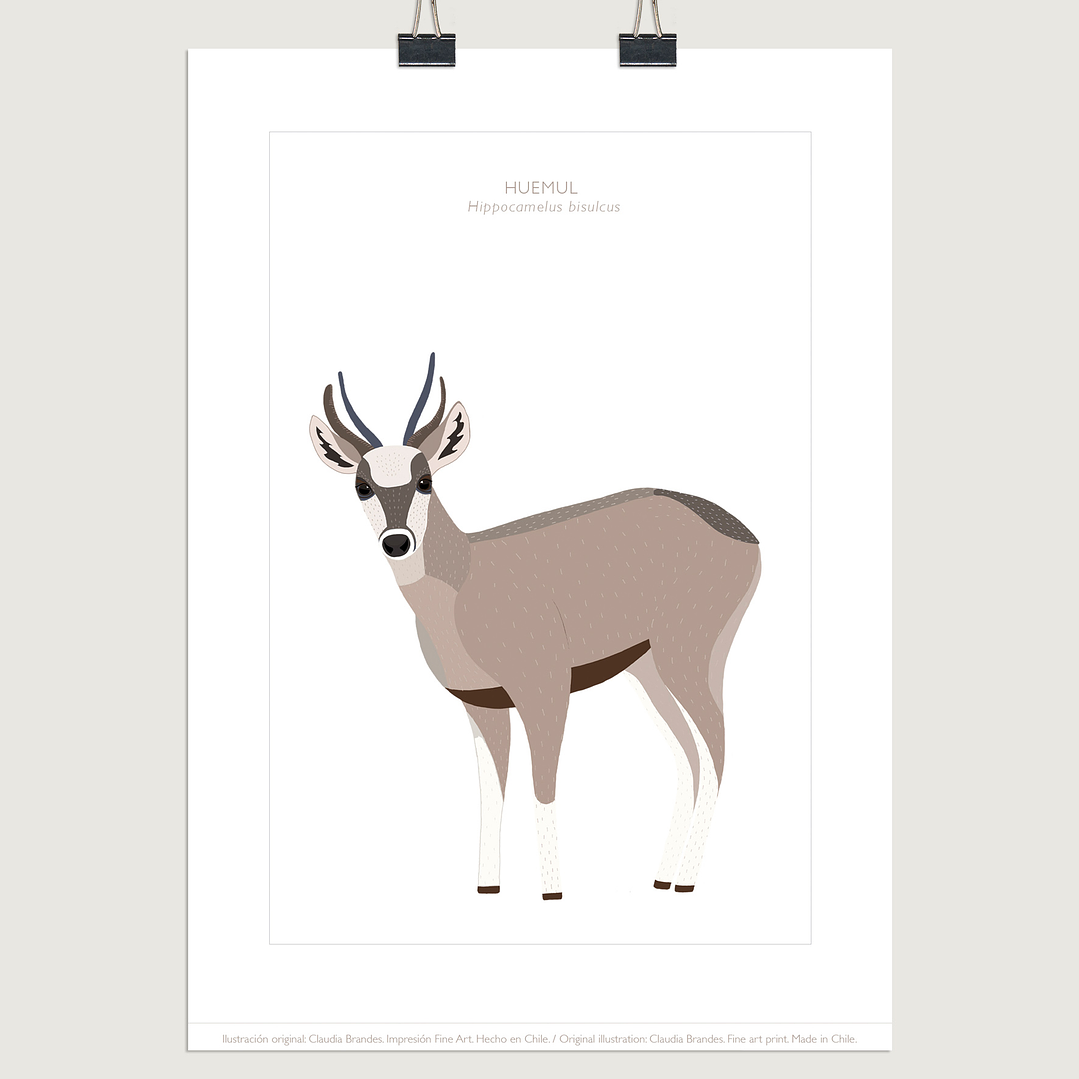 Lámina Huemul, varios tamaños- COPIAR 1