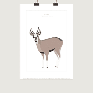 Lámina Huemul, varios tamaños- COPIAR