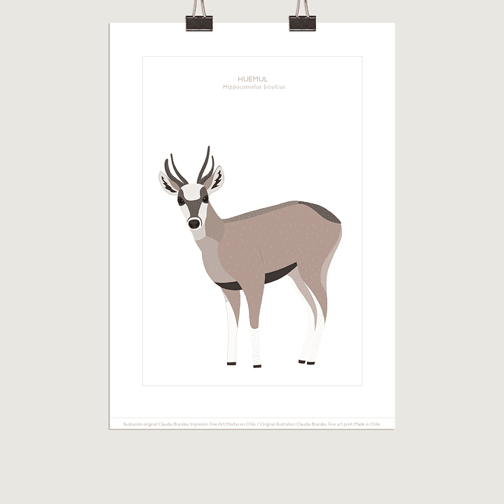 Lámina Huemul, varios tamaños- COPIAR 2