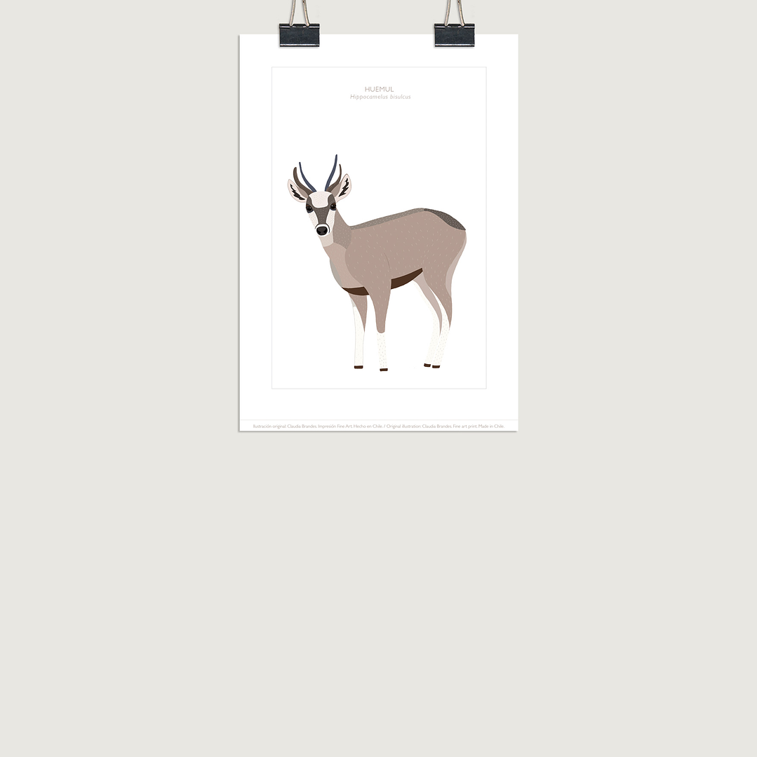 Lámina Huemul, varios tamaños- COPIAR 3