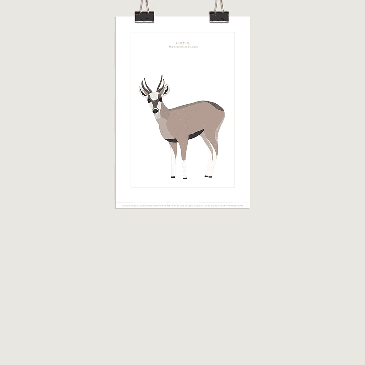 Lámina Huemul, varios tamaños- COPIAR 3