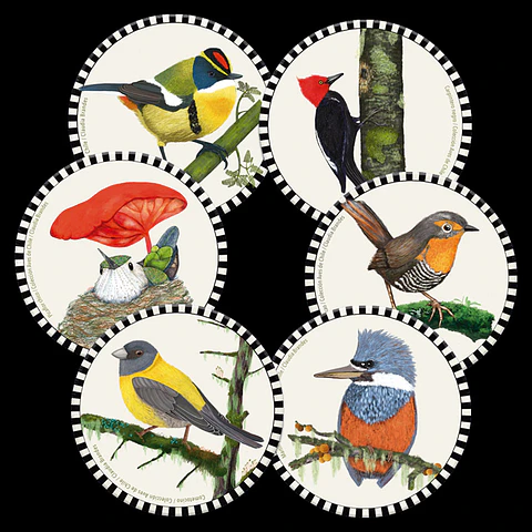 Set 6 posavasos Pajaritos Chilenos, Serie 1